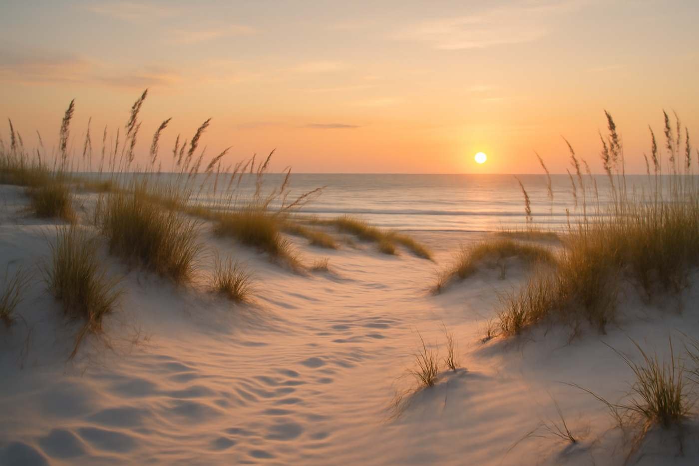 Coastal dunes at sunset near Hollywood, FL